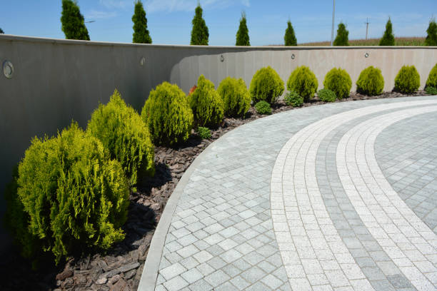 Best Local Driveway Pavers  in Hazel Green, AL